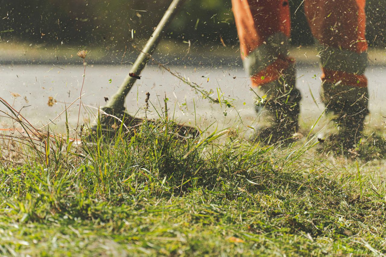 gallery-4 A person using a lawn mower to trim grass in a sunny garden.