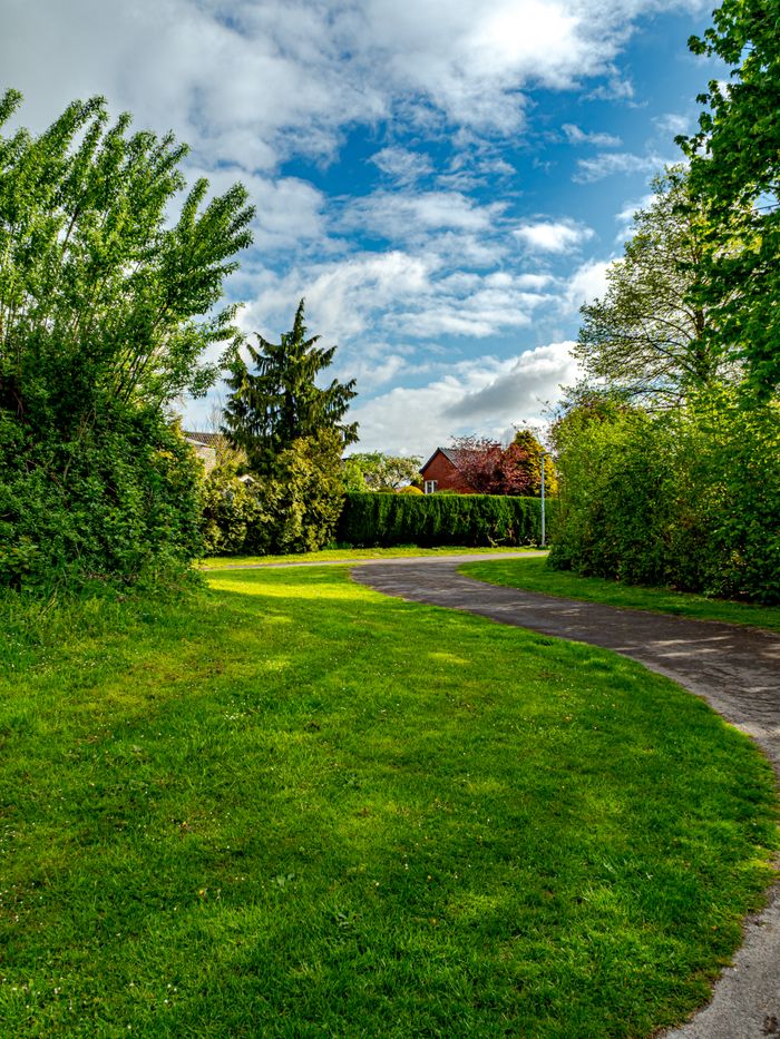 services-03 A serene pathway surrounded by lush greenery in Coesfeld, Germany, under a vibrant blue sky.